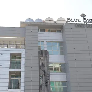 Blue Birds International Addis Ababa